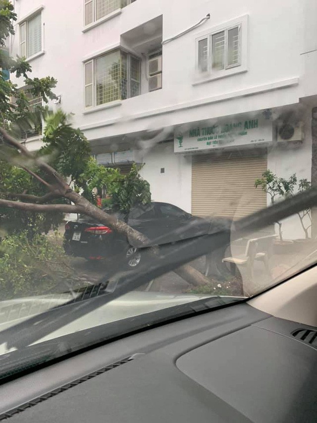 Xót xa nhiều ô tô bị cây đổ đè bẹp trong cơn bão 2a