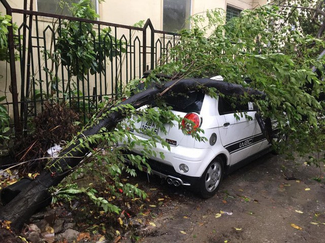 Xót xa nhiều ô tô bị cây đổ đè bẹp trong cơn bão 7a