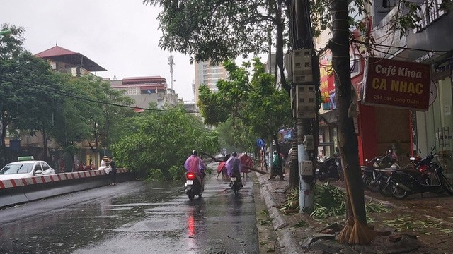 Xót xa nhiều ô tô bị cây đổ đè bẹp trong cơn bão 4a