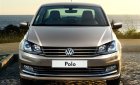 Volkswagen Polo E 2016 - Cần bán xe Volkswagen Polo E 2016, màu nâu, xe nhập
