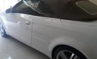 Audi A4 2007 - Bán ô tô Audi A4 đời 2007, màu trắng, nhập khẩu chính hãng, giá chỉ 820 triệu