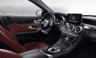 Mercedes-Benz C300  AMG 2016 - Cần bán Mercedes AMG C300 đời 2016, có nhiều màu, giao xe ngay