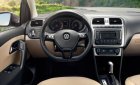 Volkswagen Polo 2016 - Bán xe Volkswagen Polo đời 2016, màu nâu, nhập khẩu, giá tốt