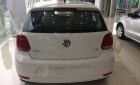 Volkswagen Polo   6AT 2016 - Cần bán xe Volkswagen Polo  6AT đời 2016, màu trắng, nhập khẩu chính hãng
