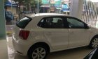 Volkswagen Polo   6AT 2016 - Cần bán xe Volkswagen Polo  6AT đời 2016, màu trắng, nhập khẩu chính hãng