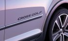 Volkswagen Golf Cross 2016 - Bán Volkswagen Golf Cross bản Châu Âu, màu bạc, nhập khẩu chính hãng. LH: 0931416628