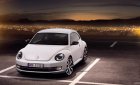 Volkswagen New Beetle E 2016 - Cần bán xe Volkswagen New Beetle E đời 2016, màu trắng, xe nhập