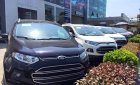 Ford EcoSport MT 2016 - Ford EcoSport MT 2017 khuyến mãi lên đến 100tr, hỗ trợ vay 80%/6 năm- chỉ cần trả trước 200 triệu