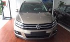 Volkswagen Tiguan 2.0 TSI 2016 - Đà Nẵng: Volkswagen Tiguan 2.0 TSI đời 2016, màu nâu, nhập khẩu nguyên chiếc