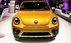 Volkswagen New Beetle Dune 2016 - Bán Volkswagen New Beetle Dune đời 2016, màu vàng, xe nhập. Lh: 0978877754-0931416628 giá tốt nhất