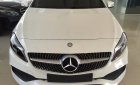 Mercedes-Benz A class A250 AMG 2016 - Bán Mercedes A250 AMG 2016, màu trắng, nhập khẩu chính hãng