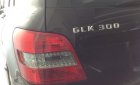 Mercedes-Benz GLK 300  2011 - Bán xe Mercedes GLK 300 đời 2011, màu đen, xe nhập
