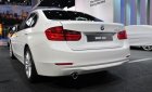 BMW 3 Series 320i 2016 - Bán xe BMW 320i năm 2016, màu trắng, nhập khẩu chính hãng