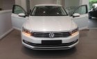 Volkswagen Passat E 2016 - Bán Volkswagen Passat đời 2016, màu trắng, xe nhập