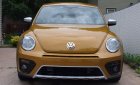 Volkswagen Beetle 2016 - Bán ô tô Volkswagen Beetle đời 2016, nhập khẩu