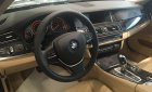 BMW 5 Series 520i 2016 - Cần bán xe BMW 5 Series 520i đời 2016, màu đen, nhập khẩu