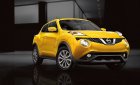 Nissan Juke 1.6L 2016 - Bán xe Nissan Juke Crossover đời 2016, màu trắng, đỏ, vàng, nhập khẩu Anh Quốc, hotline: 094 667 0103