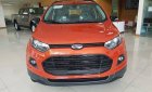 Ford EcoSport 2016 - Bán ô tô Ford EcoSport đời 2017, màu xám (ghi)