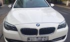 BMW 5 Series 528i 2010 - Gia đình cần bán BMW 528i full option chính hãg EA