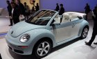 Volkswagen New Beetle   2004 - Cần bán lại xe Volkswagen New Beetle năm 2004, màu xanh ngọc