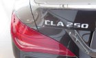 Mercedes-Benz CLA 250 2016 - Bán Mercedes 250 đời 2016, màu nâu, xe nhập