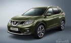 Nissan X trail 2.0L 2017 - Cần bán xe Nissan X Trail 2WD đời 2018, màu xanh, nhập khẩu, khuyến mại tiền mặt và phụ kiện