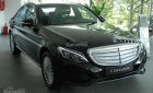 Mercedes-Benz C class C250 Exclusive 2018 - Mercedes C250 Exclusive 2018 - Ưu đặc biệt, xe giao ngay