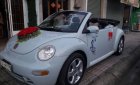 Volkswagen New Beetle 2004 - Cần bán xe Volkswagen New Beetle đời 2004, màu xanh lam, nhập khẩu nguyên chiếc