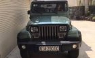 Jeep Wrangler   1995 - Cần bán xe cũ Jeep Wrangler đời 1995 số tự động, giá tốt