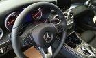 Mercedes-Benz Smart GLC 300 2016 - Bán xe Mercedes GLC 300 đời 2017, nội thất đen xe giao nhanh nhất