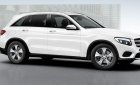 Mercedes-Benz Smart 250 2016 - Bán xe Mercedes-Benz GLC 250 sản xuất 2017 đủ màu giao xe tháng 03