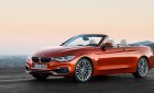 BMW 4 Series 428i   2017 - BMW 4 Series 428i Convertible 2017, nhập khẩu, ưu đãi cực khủng, có xe giao ngay