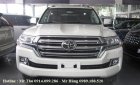 Toyota Land Cruiser 5.7 VX 2016 - Bán Toyota Land Cruiser 5.7 VX đời 2016, màu trắng, nhập khẩu nguyên chiếc