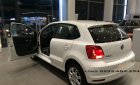Volkswagen Polo 2016 - Còn 1 xe duy nhất Volkswagen Polo Hatchback màu trắng 2016 nhập khẩu - Quang Long 0933689294