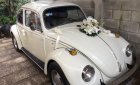 Volkswagen Beetle 1980 - Bán Volkswagen Beetle sản xuất 1980, màu trắng