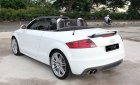 Audi TT Roadster 2008 - Salon bán Audi TT Roadster đời 2008, màu trắng, nhập khẩu nguyên chiếc, 880 triệu