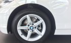 BMW 1 Series 118i 2017 - Bán BMW 1 Series 118i đời 2017, màu trắng, xe nhập, phiên bản mới nhất
