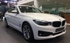 BMW 3 Series 320i Gran Turismo 2017 - Bán xe BMW 3 Series 320i Gran Turismo đời 2017, màu trắng, nhập khẩu