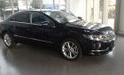 Volkswagen Passat CC 2013 - Bán xe Volkswagen Passat CC, nhập khẩu nguyên chiếc