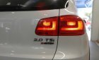 Volkswagen Tiguan 2.0TSI 2016 - (VW Sài Gòn) SUV Tiguan 2.0 TSI nhập Đức, KM trong tháng 8 tới 50 triệu, LH phòng bán hàng 093.828.0264 Mr Kiệt