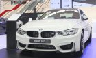 BMW M3 2017 - Cần bán BMW M3 Sedan đời 2017, màu trắng, nhập khẩu