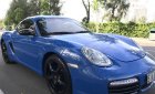 Porsche Cayman 2008 - Bán Porsche Cayman sx 2008, đăng ký lần đầu 2009, nhập khẩu