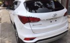 Hyundai Santa Fe 4WD 2016 - Cần bán xe Hyundai Santa Fe 4WD đời 2016, màu trắng