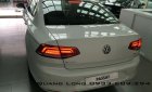 Volkswagen Passat 2015 - Passat E màu nâu nhập khẩu nguyên chiếc - Giá tốt LH 0933689294