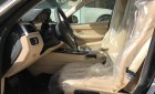 BMW 3 Series 320i 2017 - Bán BMW 3 Series 320i, màu nâu (Jatoba), nhập khẩu nguyên chiếc. Cam kết giá rẻ nhất toàn quốc, có xe giao ngay