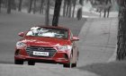 Hyundai Elantra AT 2017 - Bán xe Hyundai Elantra AT đời 2017, mới 100%