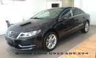 Volkswagen Passat CC 2013 - Cần bán xe nhập khẩu mới 100% - Volkswagen Passat CC - Giá mới điều chỉnh nhiều ưu đãi