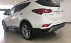 Hyundai Santa Fe 2.2 CRDi 2017 - Hyundai Trường Chinh - Hyundai Santa Fe 2017 tặng 50% trước bạ, liên hệ 0939.304.221 Minh