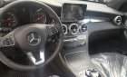 Mercedes-Benz Smart 300 4Matic 2017 - Bán ô tô Mercedes GLC 300 4Matic đời 2017, màu bạc
