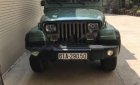 Jeep Wrangler 1995 - Bán ô tô Jeep Wrangler đời 1995, màu xanh lam, xe nhập số tự động 